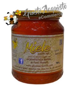 Miele Millefiori Primaverile 500gr